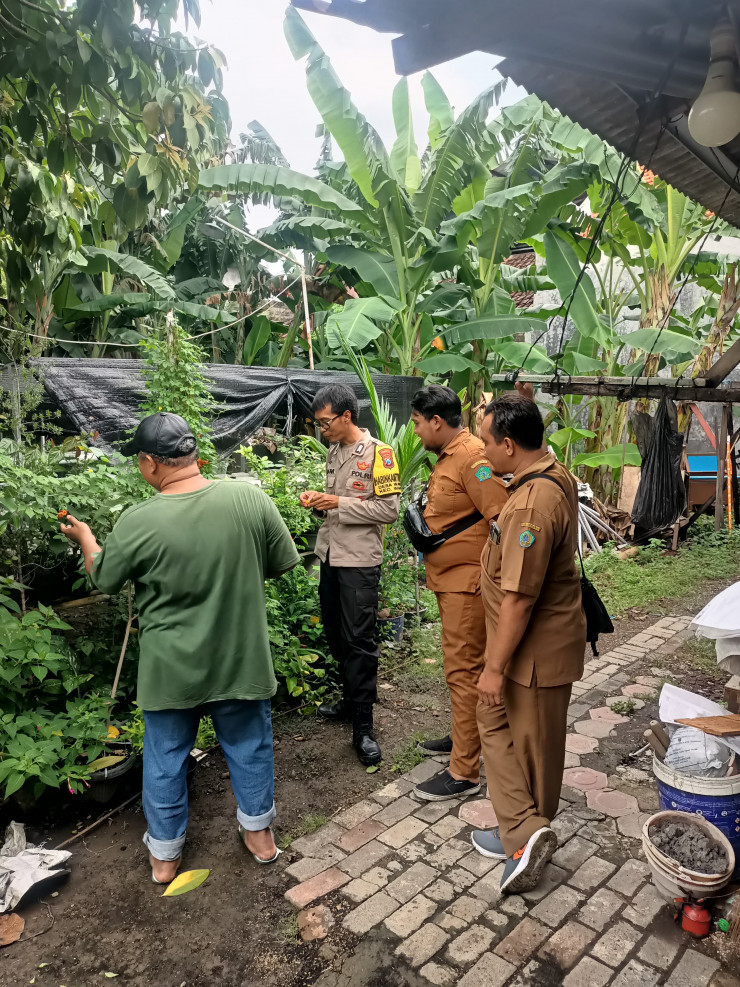 Bhabinkamtibmas Waru Tinjau Tanaman TOGA, Dukung Ketahanan Pangan Nasional
