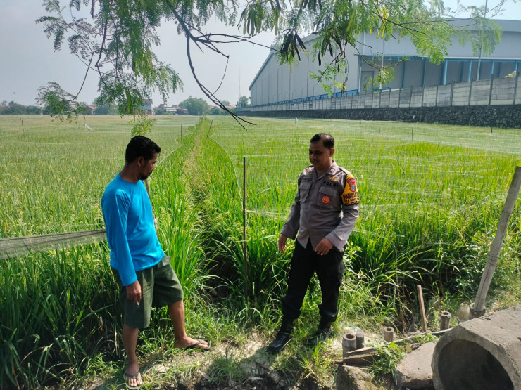Polsek Porong Masifkan Peran Bhabinkamtibmas Dampingi Warga Penggerakan Ketahanan Pangan